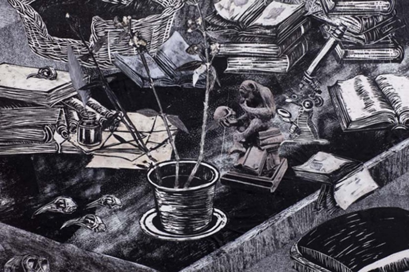 The Study