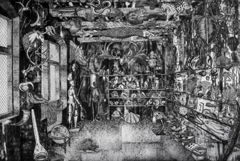 Wunderkammer, 2012